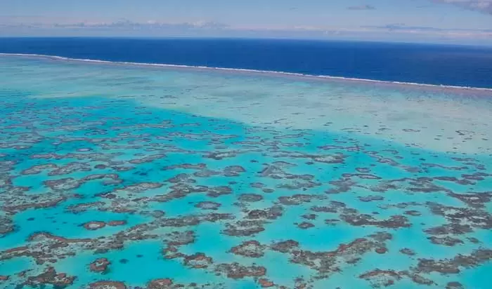 The Great Barrier Reef, Sistem Terumbu Karang Terbesar