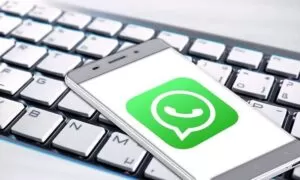 Cara Download Status Foto atau Video di WhatsApp
